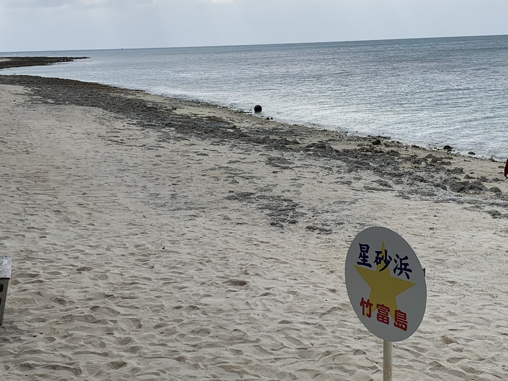 石垣島から船で10分！綺麗な海と自然の宝庫で走る至福のひと時の写真3