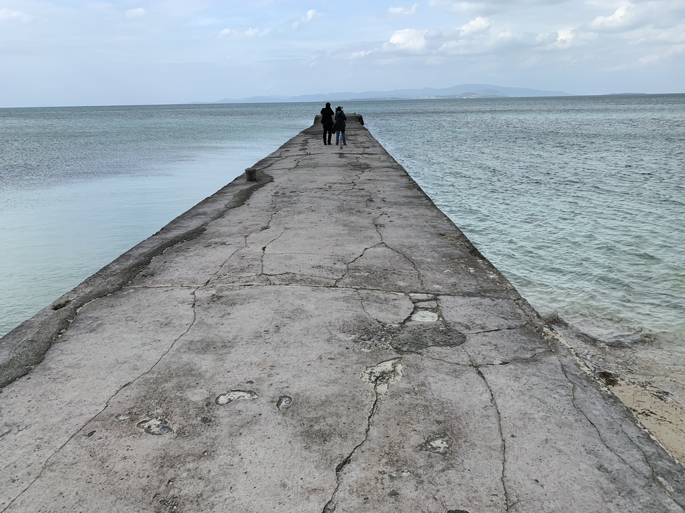 石垣島から船で10分！綺麗な海と自然の宝庫で走る至福のひと時の写真4