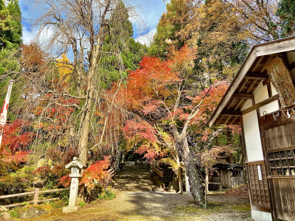 紅葉の隠れた名所ランの写真3