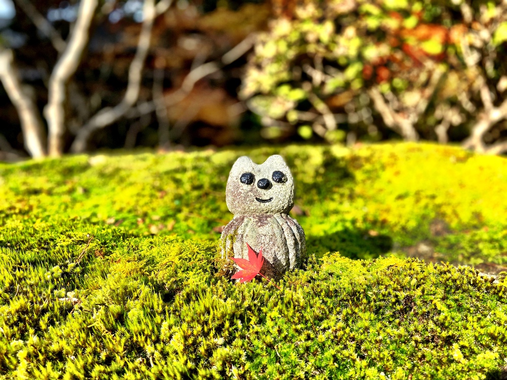 紅葉の隠れた名所ランの写真4