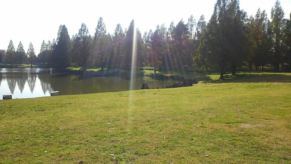 知る人ぞ知る川内優輝クロカンの写真4