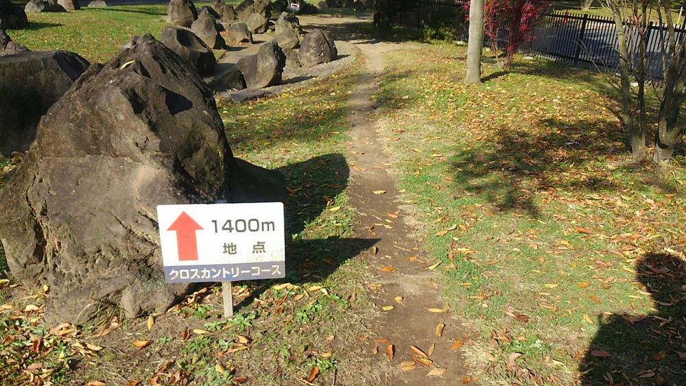 知る人ぞ知る川内優輝クロカンの写真5