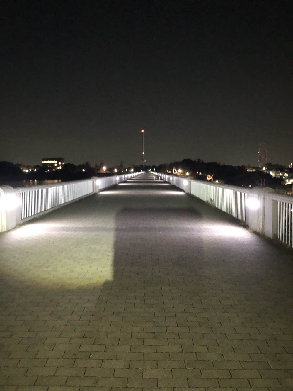 所沢・東村山　冬の心霊スポット巡りの写真3