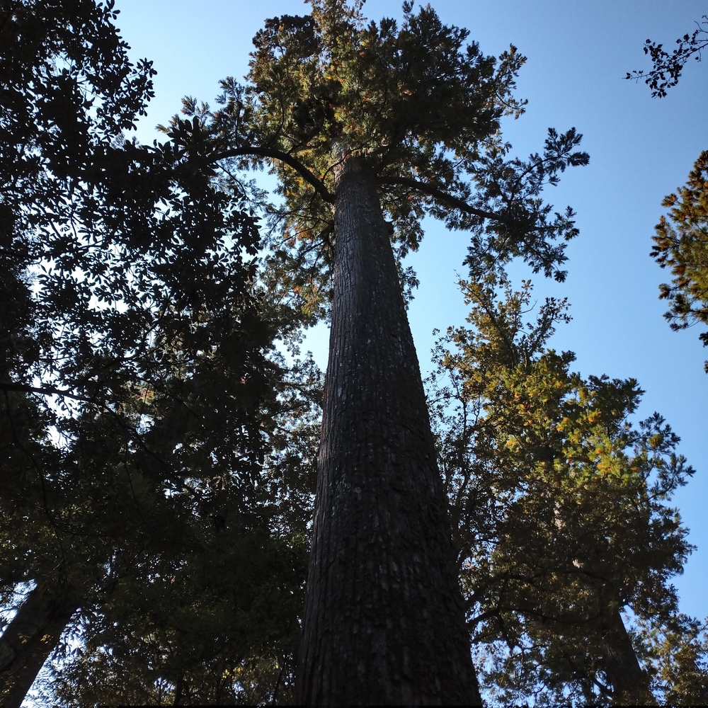 伊勢市ランニングの写真7