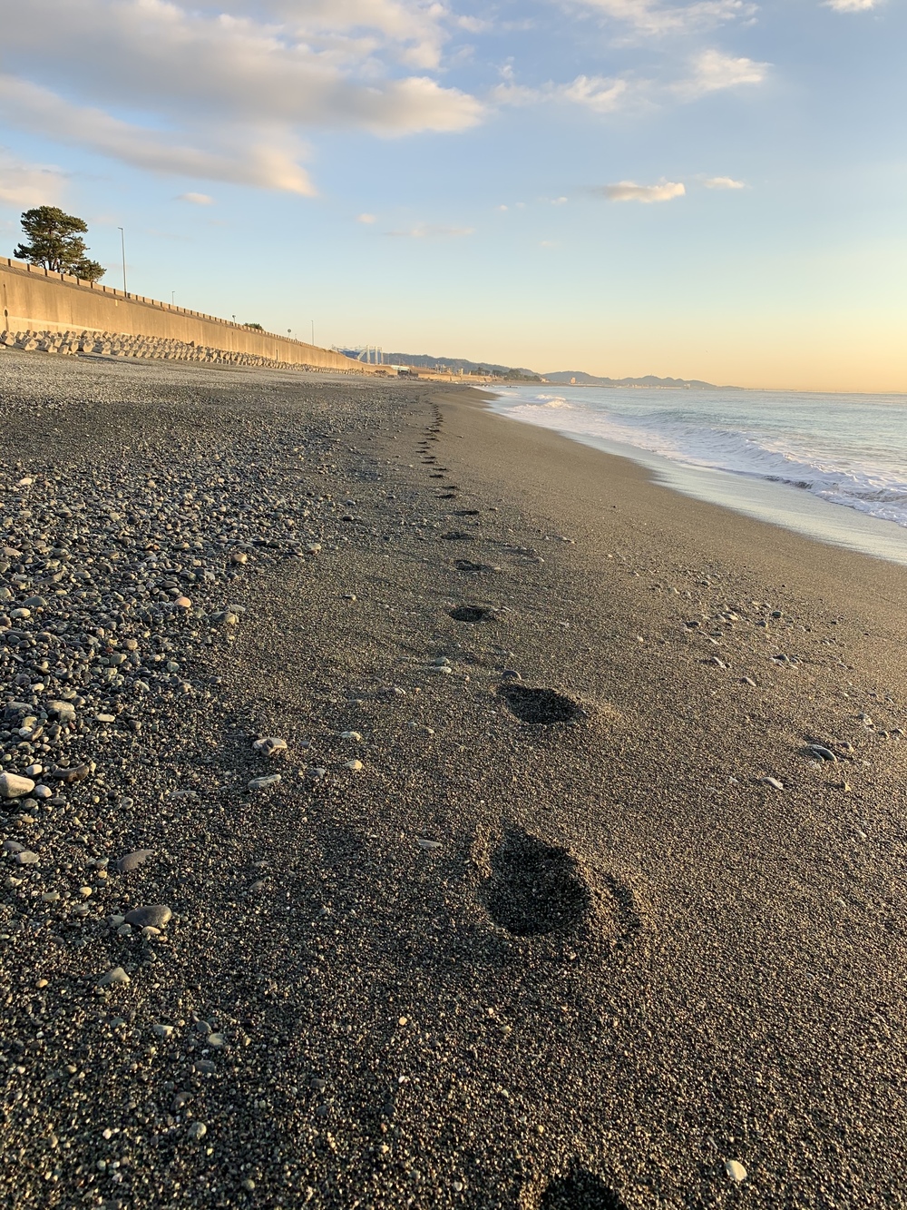 小田原、相模湾、出張朝ランの写真3