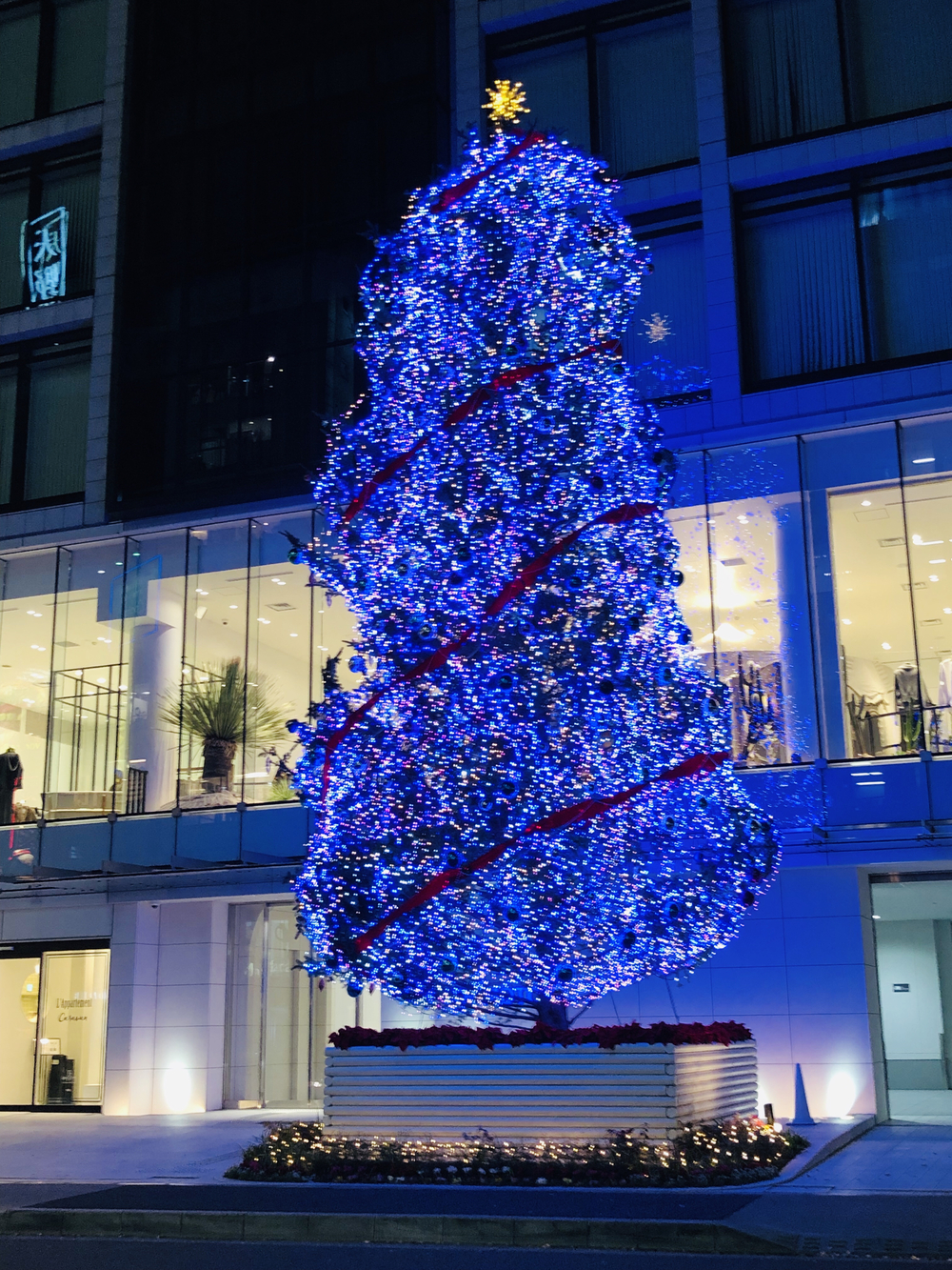 クリスマスイルミ 六本木、赤坂、表参道編の写真9