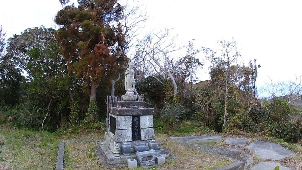 千葉県　外房総勝浦温泉～岬めぐり、御宿海岸周遊の１７キロの写真6
