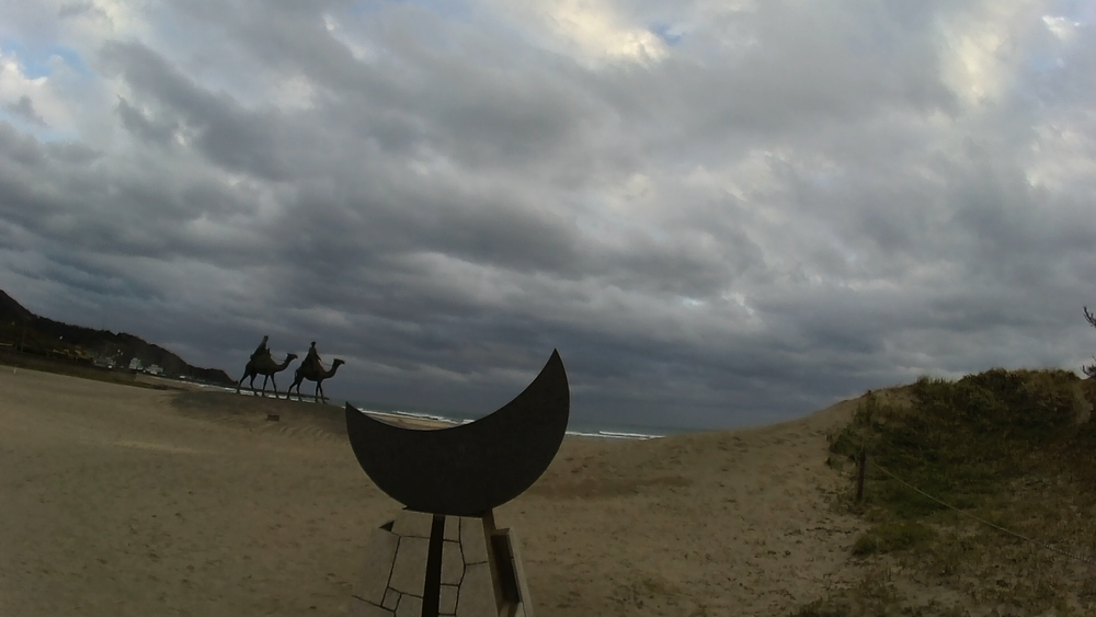 千葉県　外房総勝浦温泉～岬めぐり、御宿海岸周遊の１７キロの写真7