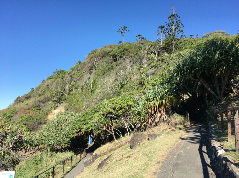 Burleigh Heads National Park(ゴールドコーストオーシャンビューのトレッキの写真7