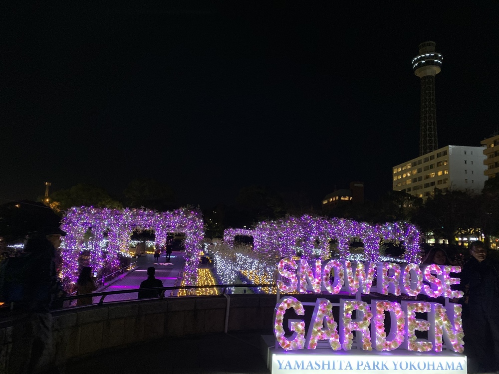 冬の山下公園エリア イルミランの写真3