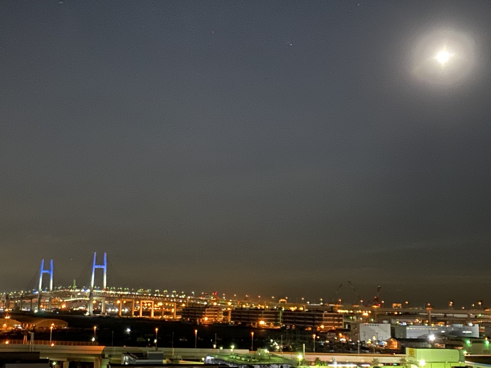 冬の山下公園エリア イルミランの写真4