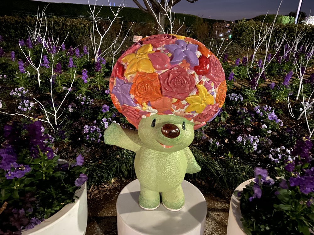 冬の山下公園エリア イルミランの写真5