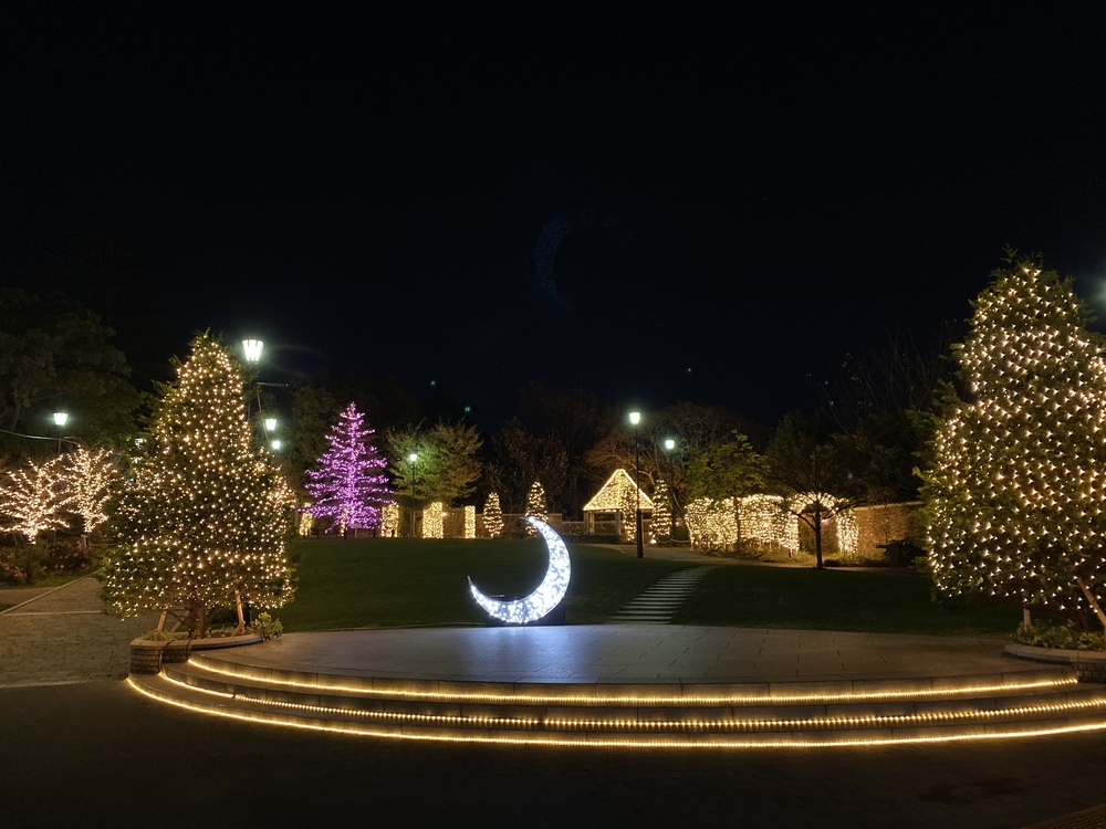 冬の山下公園エリア イルミランの写真6