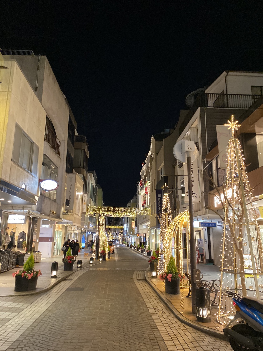 冬の山下公園エリア イルミランの写真8