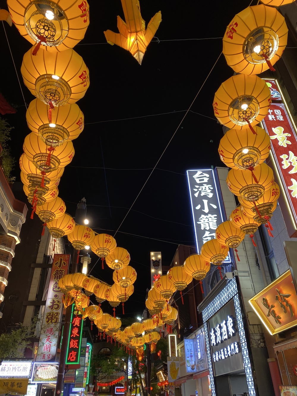 冬の山下公園エリア イルミランの写真10