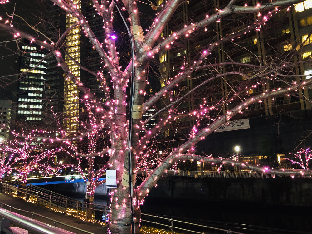 ジュエリーボックスの写真3