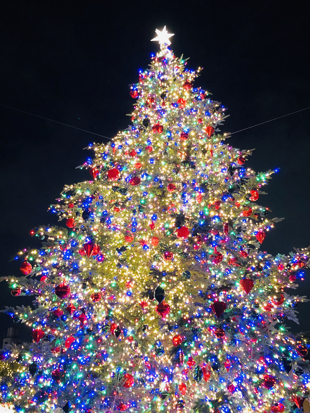 ジュエリーボックスの写真6