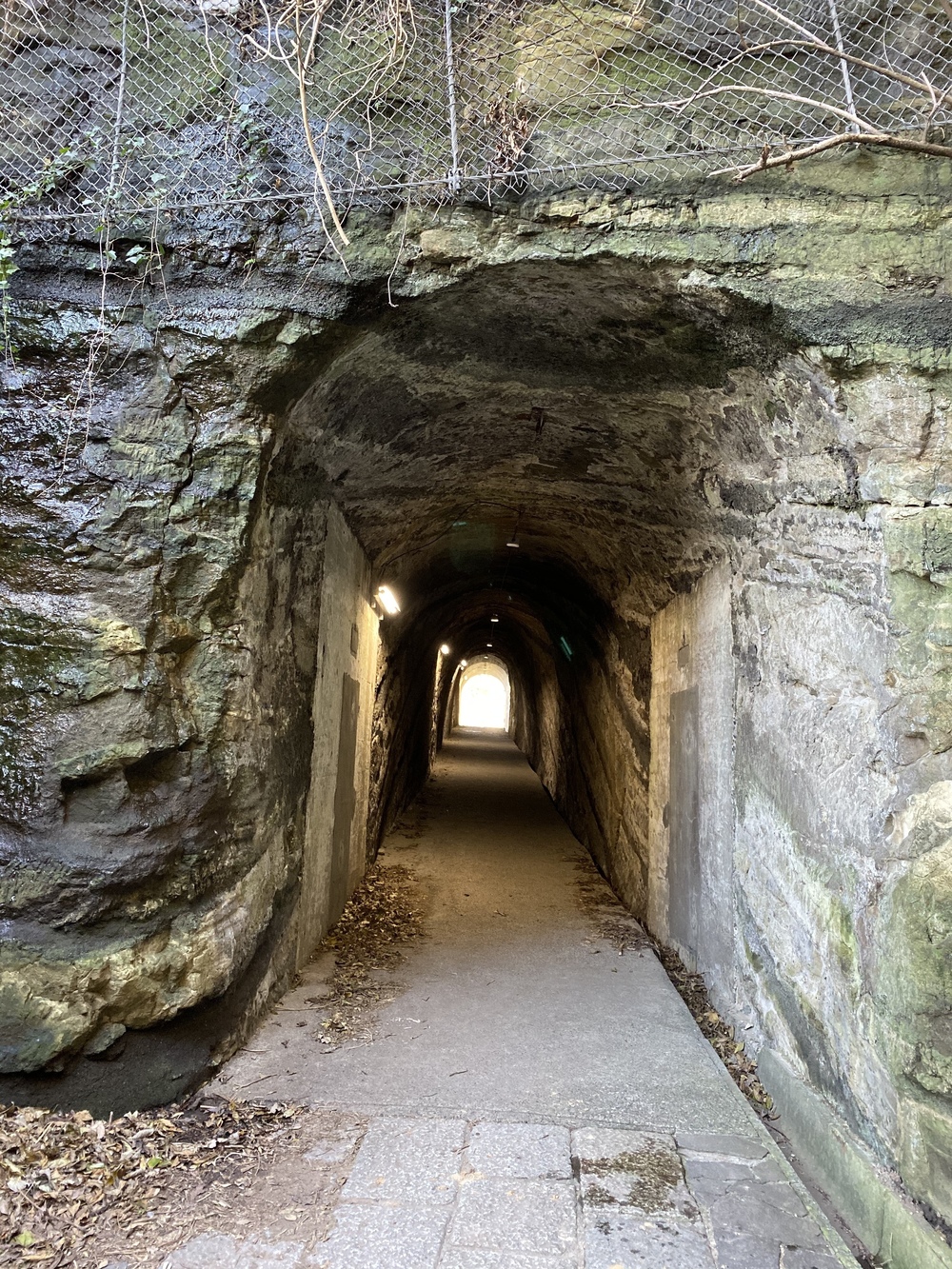 2分間の船旅付き観音崎Runtripの写真9