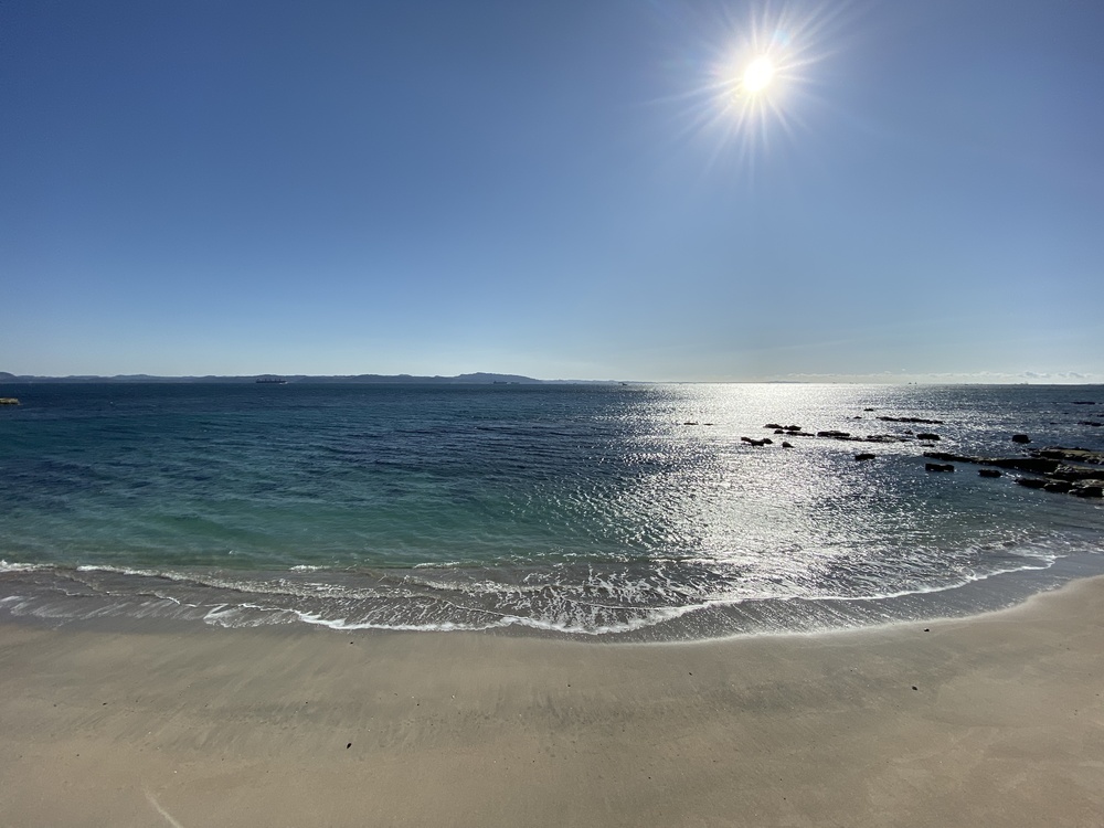 2分間の船旅付き観音崎Runtripの写真11