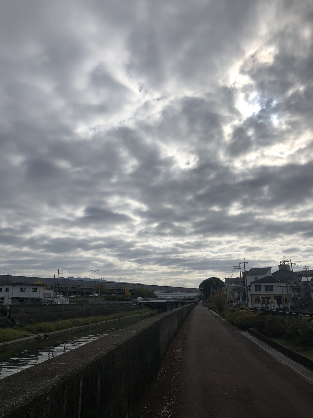 東大阪・楠根川緑地遊歩道から第二寝屋川往復9.0kmコースの写真4