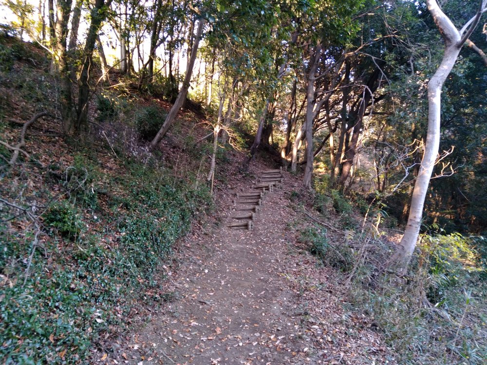 観音山ファミリーパークトレランの写真4