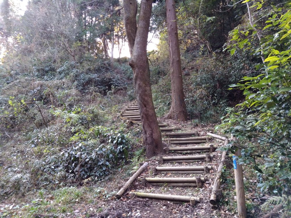 観音山ファミリーパークトレランの写真5