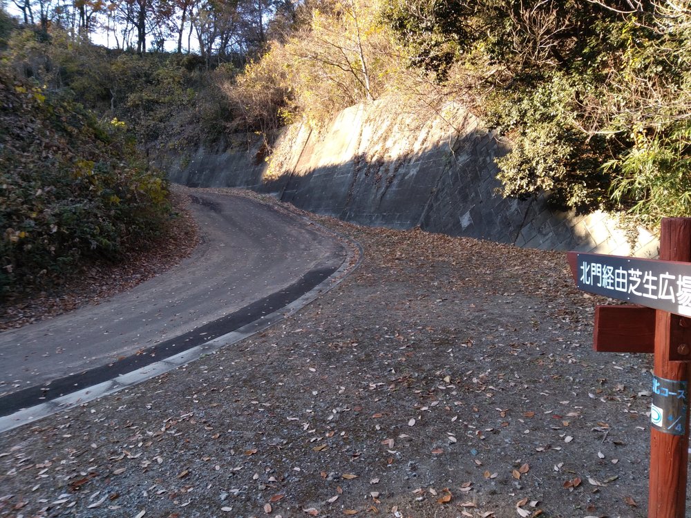 観音山ファミリーパークトレランの写真6