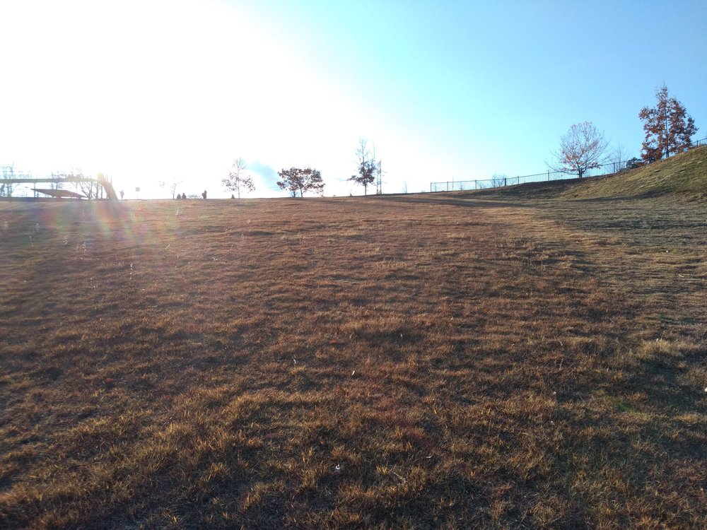 観音山ファミリーパークトレランの写真7