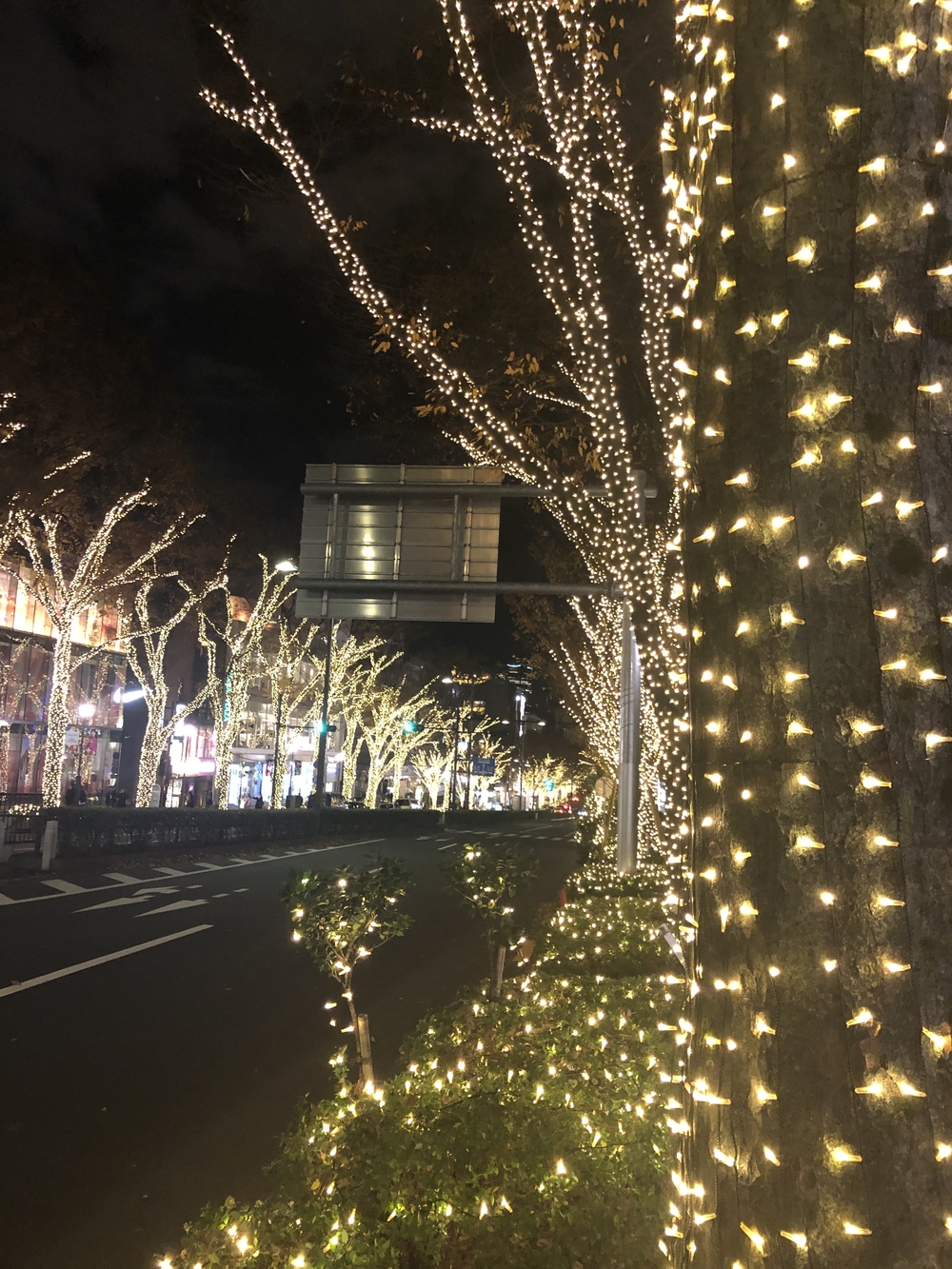 クリスマスLSDの写真3