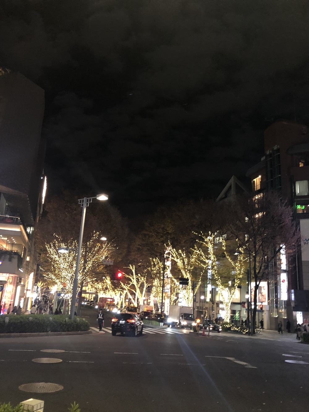 クリスマスLSDの写真4