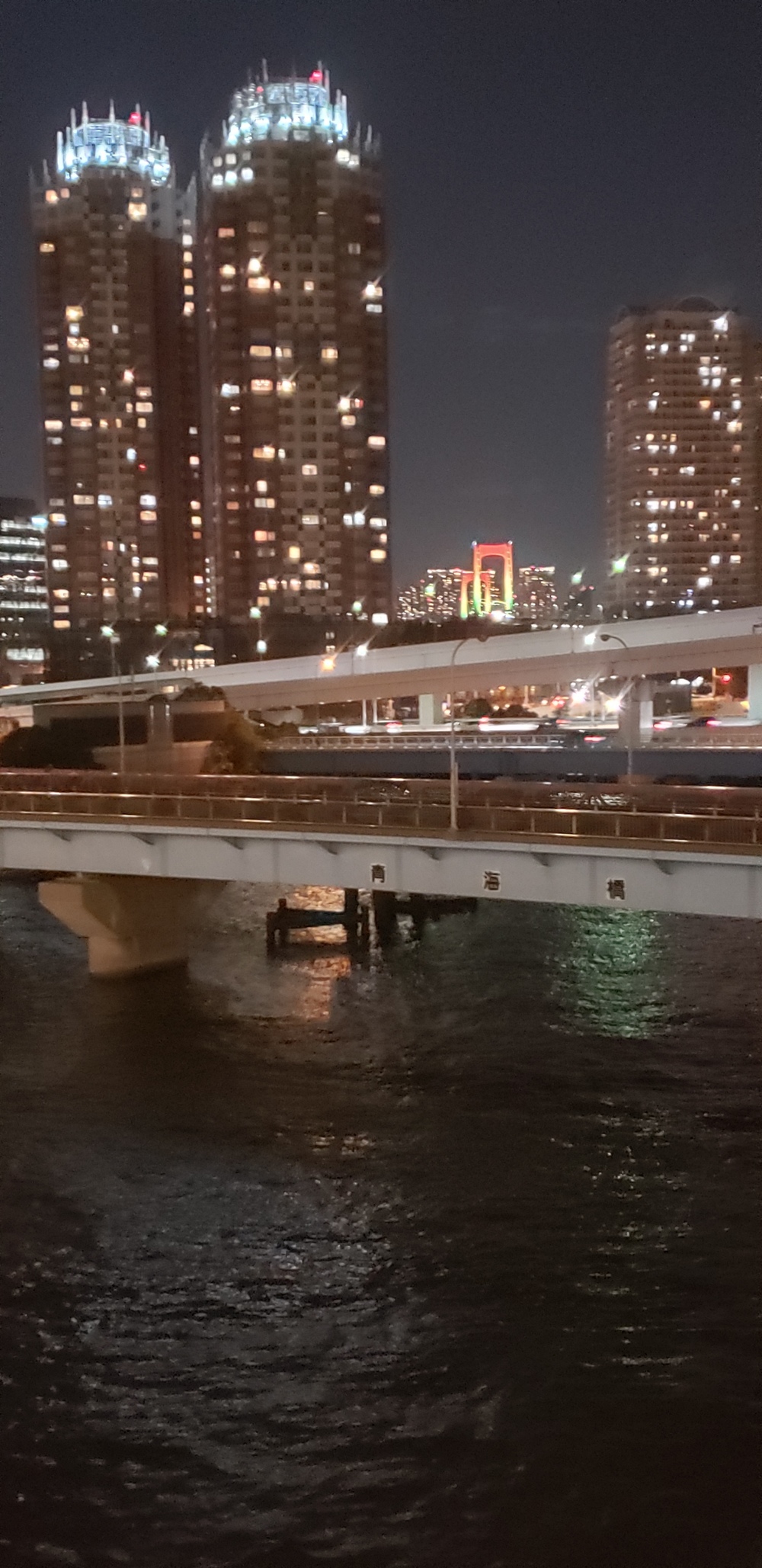 お台場クリスマス イルミ ランの写真4