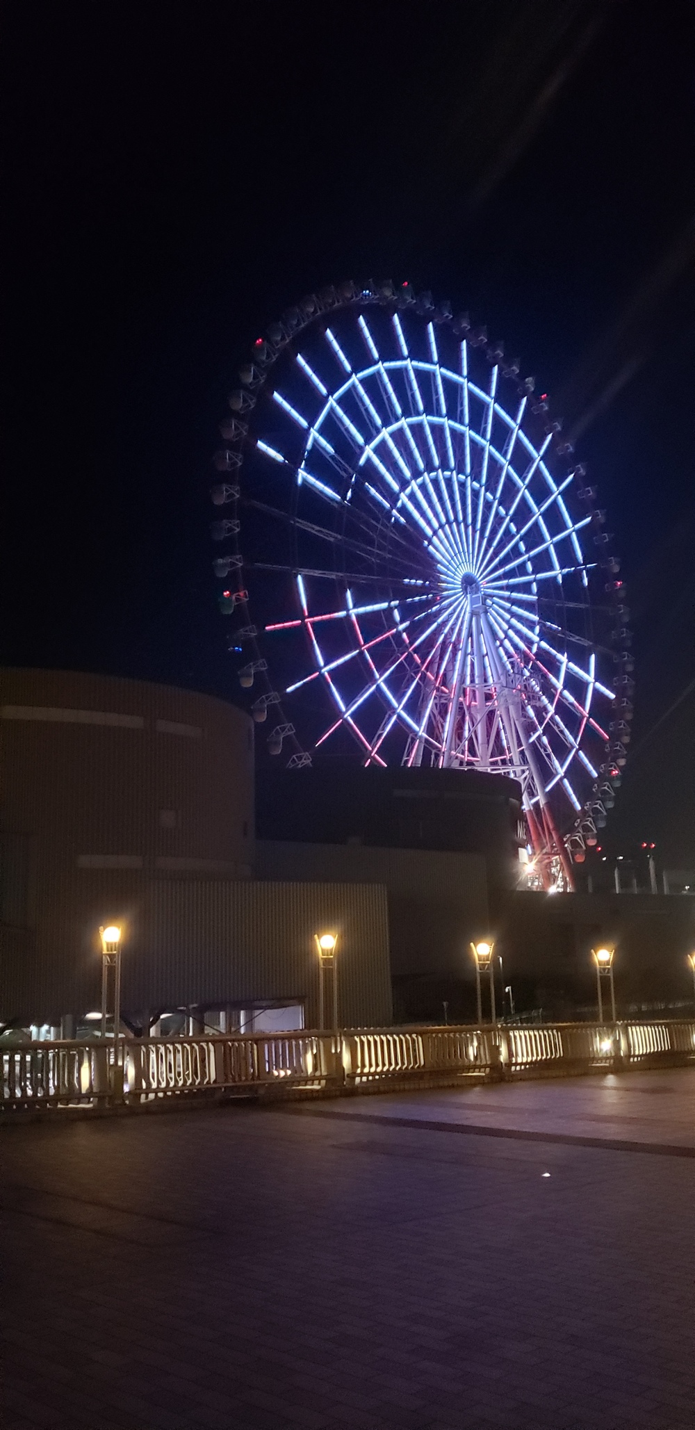 お台場クリスマス イルミ ランの写真5