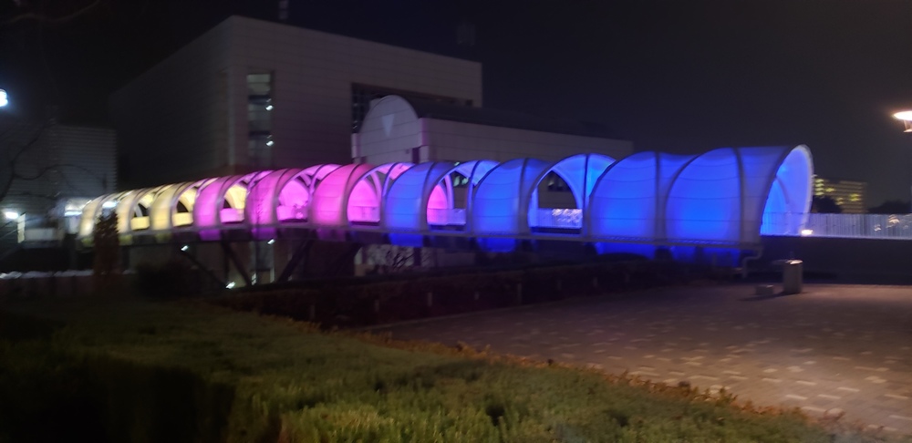 お台場クリスマス イルミ ランの写真6