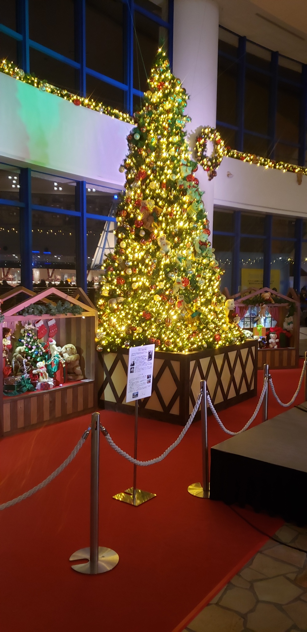 お台場クリスマス イルミ ランの写真9