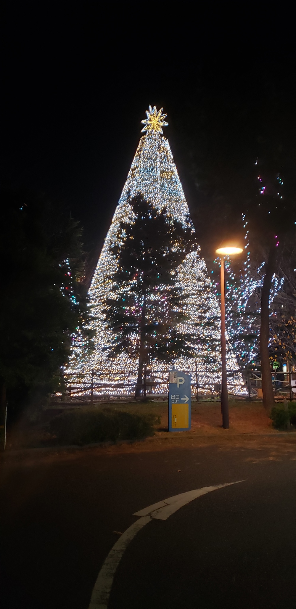 お台場クリスマス イルミ ランの写真10