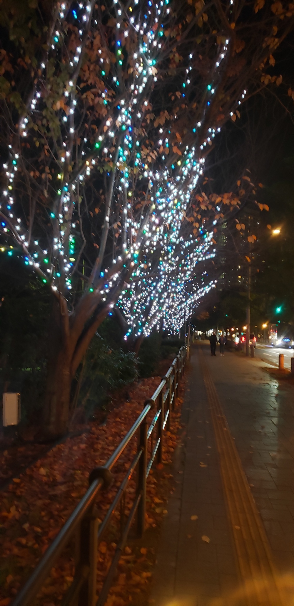 お台場クリスマス イルミ ランの写真11