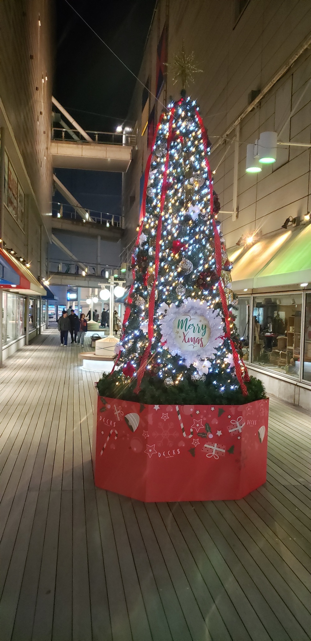 お台場クリスマス イルミ ランの写真13