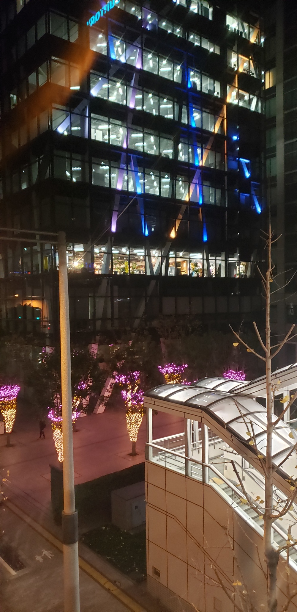 お台場クリスマス イルミ ランの写真14