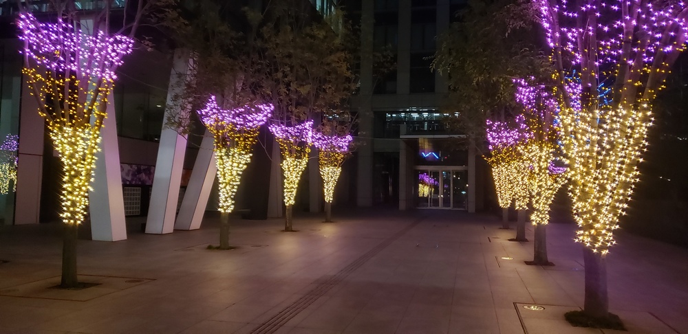 お台場クリスマス イルミ ランの写真15