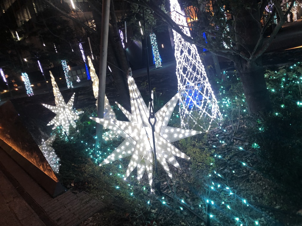 みなとみらいイルミラン🎄✨の写真3