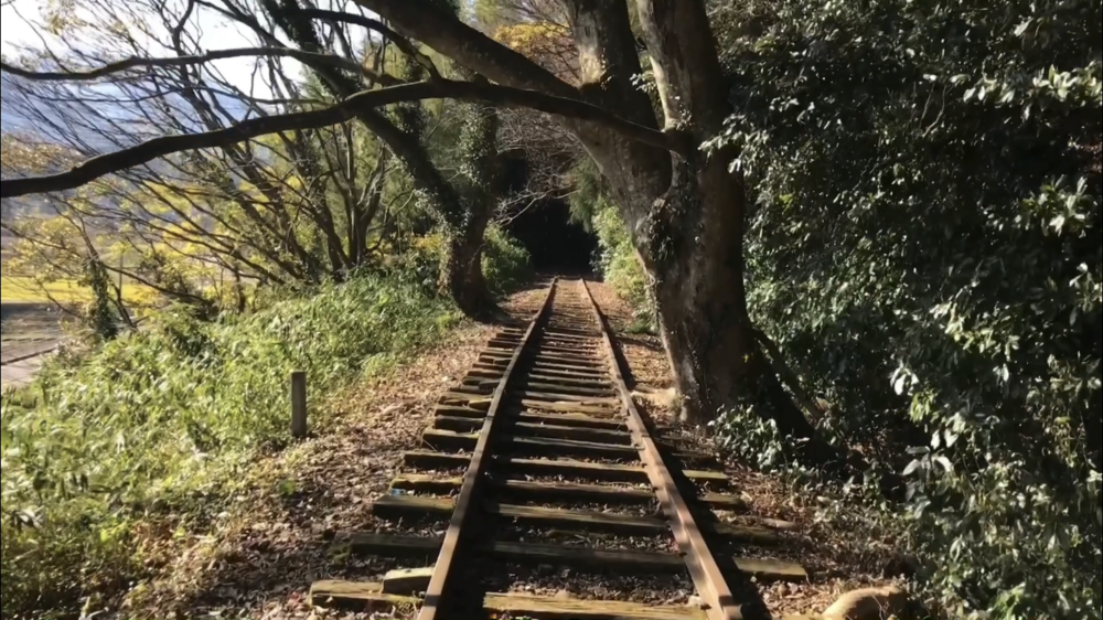 列車が力強く走っていた時に思いを馳せながらの写真14