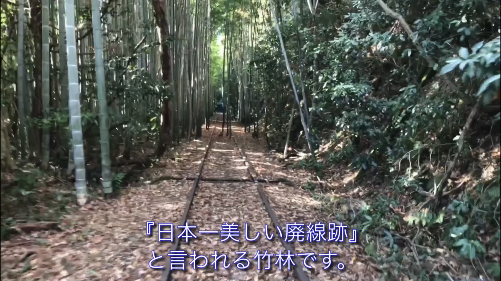 列車が力強く走っていた時に思いを馳せながらの写真15