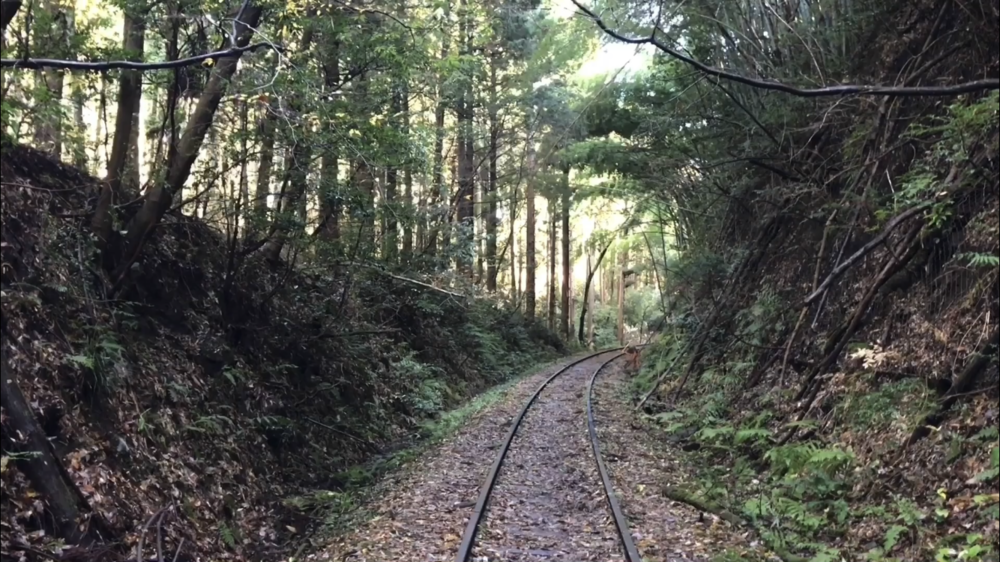 列車が力強く走っていた時に思いを馳せながらの写真16