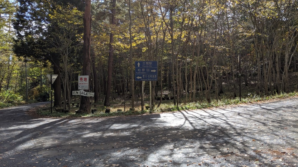 晩秋の野反湖周遊道路を走る！の写真5