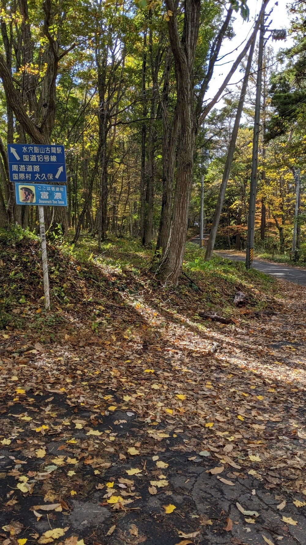 晩秋の野反湖周遊道路を走る！の写真7