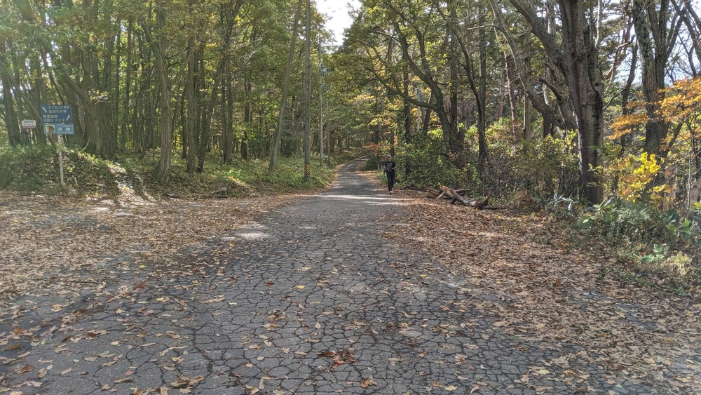 晩秋の野反湖周遊道路を走る！の写真9