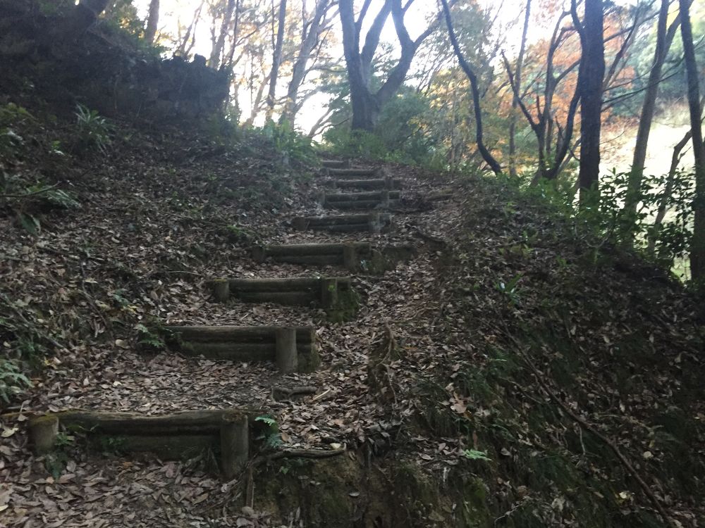 藤枝駅〜蓮華寺池公園コースの写真3