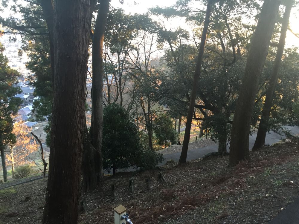 藤枝駅〜蓮華寺池公園コースの写真4