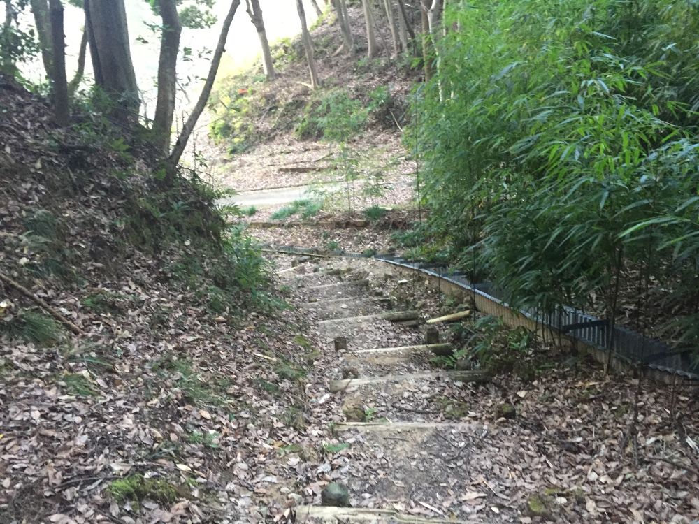 藤枝駅〜蓮華寺池公園コースの写真5