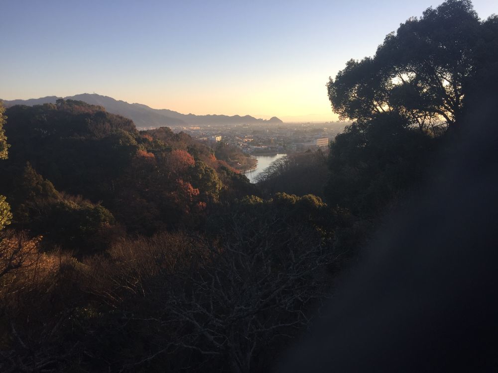 藤枝駅〜蓮華寺池公園コースの写真6